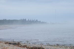 DSCF0992