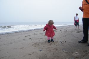 DSCF0996