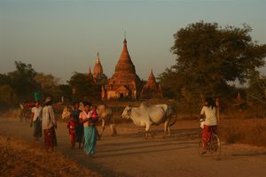 Bagan 5533