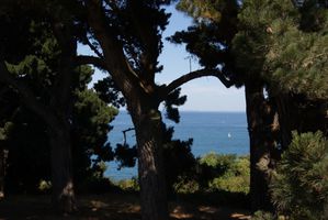 ST-quay-portrieux-fete-des-plantes-098--Copier-.JPG
