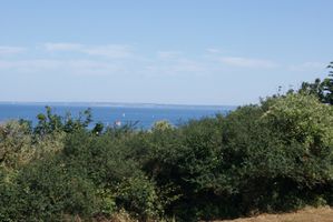 ST-quay-portrieux-fete-des-plantes-106--Copier-.JPG