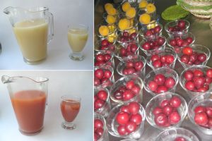 agua de frutas 72dpi