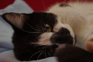 IMGP0936.JPG