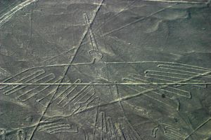 nazca condor
