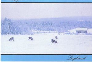 CCI02032010_00000.jpg