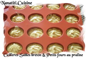 Cuilleres Sables breton & Petits fours au praline