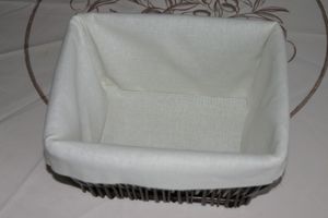 janvier2010 004
