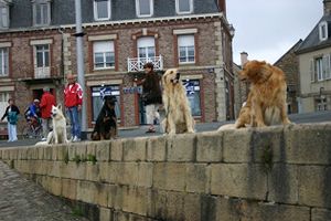 paimpol-67.jpg