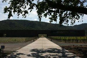 860-dominus-winery 1