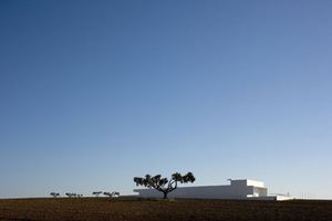 Alvaro Siza,Adega Mayor,Portugal,2003-2006 (Foto de Fernand