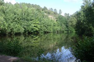 Broceliande-2012-et-22-ans-Maiwenn--28-.jpg
