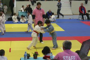 Tournoi-Judo-2013 8394