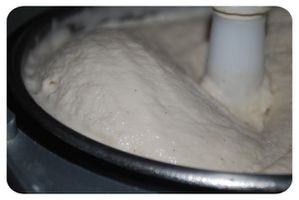 1-copie-2.jpg