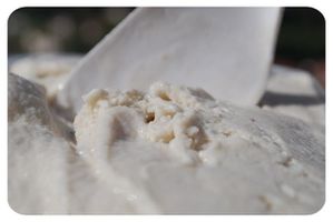 2-copie-2.jpg