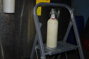 Le lait c'est gai