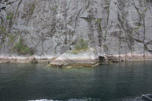 Croisiere-Hurtigruten 9877