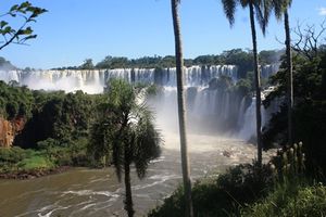 Iguacu-2014 6555