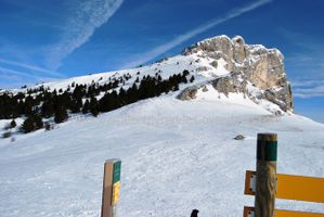 2010 02 27 (15)