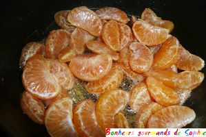 aumoniere crepe pommes-clementines 5