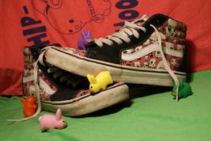 vans-2-copie-1.jpg
