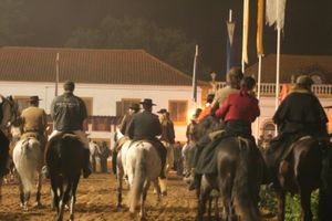 rencontre lusitano