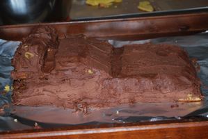 002-copie-2.JPG