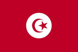 tunisie.jpg-2.jpg