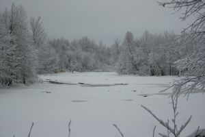 Riviere6.JPG