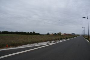 DSC04297