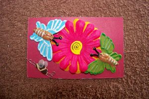15-copie-1.JPG