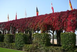 Pergolas automne & pavillons