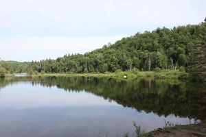lac-forêt2
