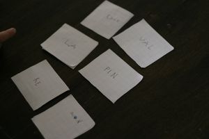 IMG 5544
