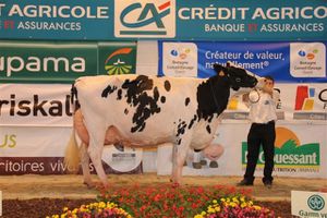 MMAM-ADULTE-355-ALIZE-E.NICOLO.56.JPG