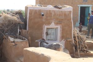 0352 Jaisalmer - Camel safari