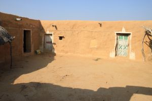 0355 Jaisalmer - Camel safari