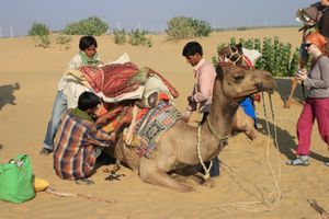 0363 Jaisalmer - Camel safari