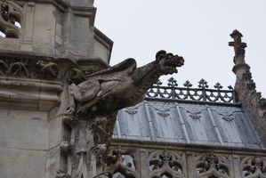 DSC08803