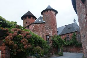 DSC07387