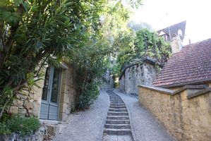 DSC07681