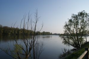 DSC03979
