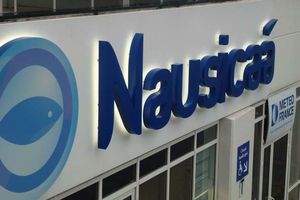 nausicaa 2013 09