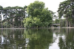 barque au bois 006