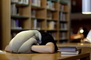 Ostrich-pillow.jpg