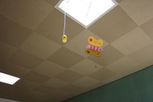 IMG 7188