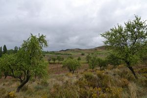 SANTIAGO-2014 0320