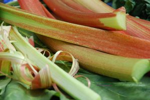 Confiture de rhubarbe - la rhubarbe