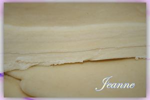 Fond-5154-copie.jpg