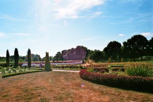 imm029_N29.jpg