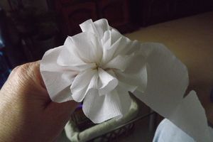 Photo 020